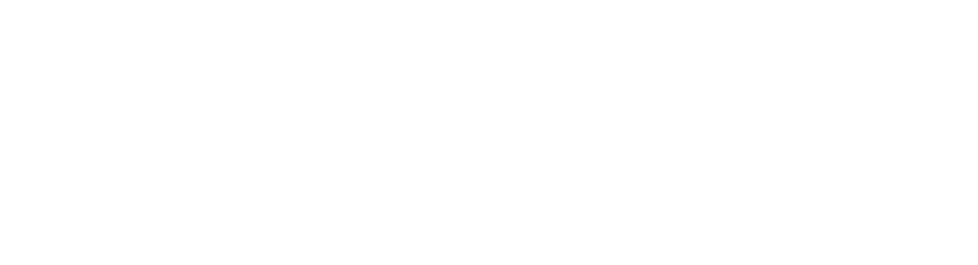Transnoa S.A.