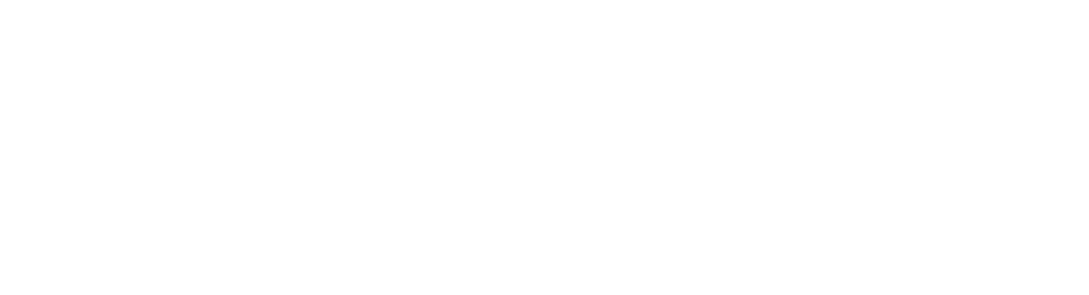 Transnoa S.A.
